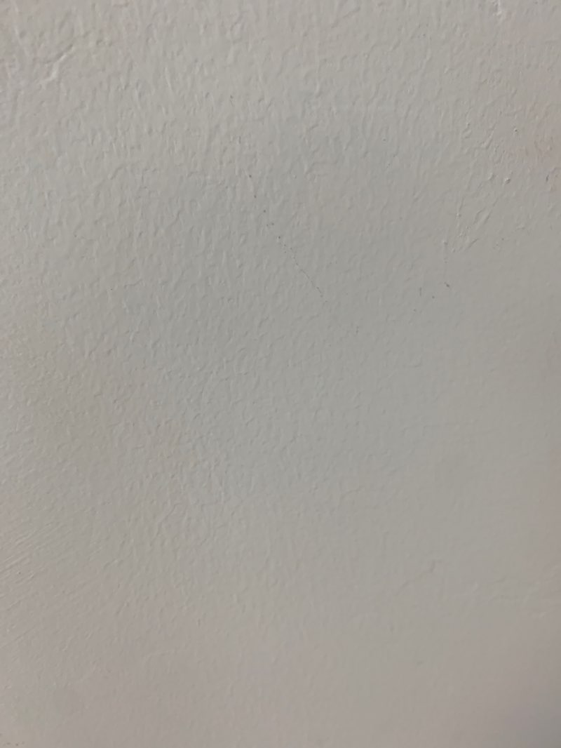 walking near me in Eyre Park in spring