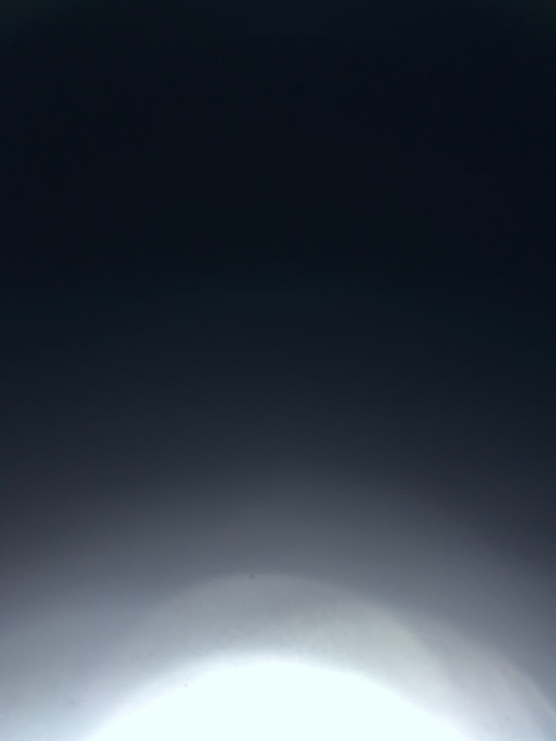 walking near me in Quanda Nature Reserve in summer