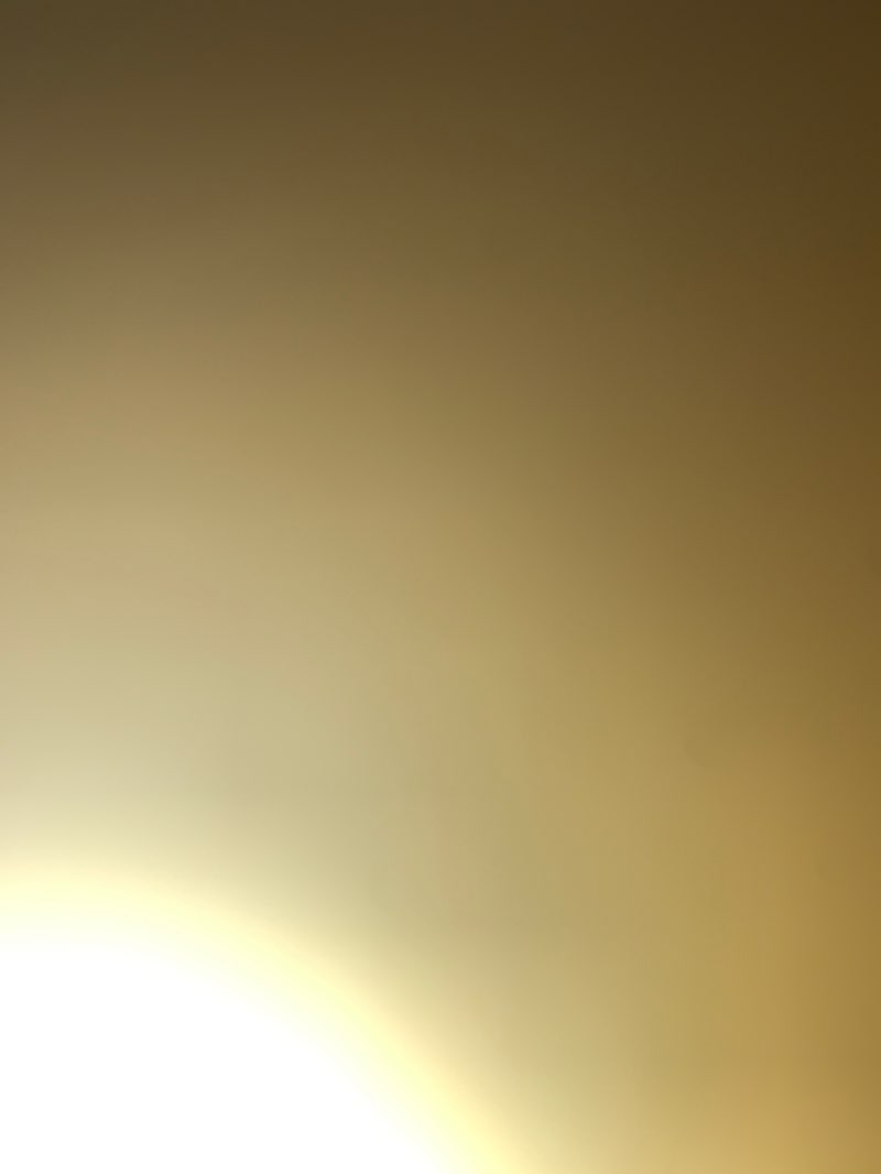 walking near me in Mawonga Indigenous Protected Area in summer