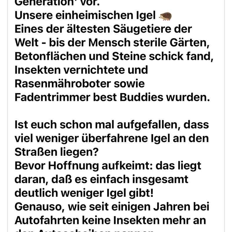 Die Igel 🦔 - Freunde 🦔🥰🦔 Pacer-Mädchen 1965 post image