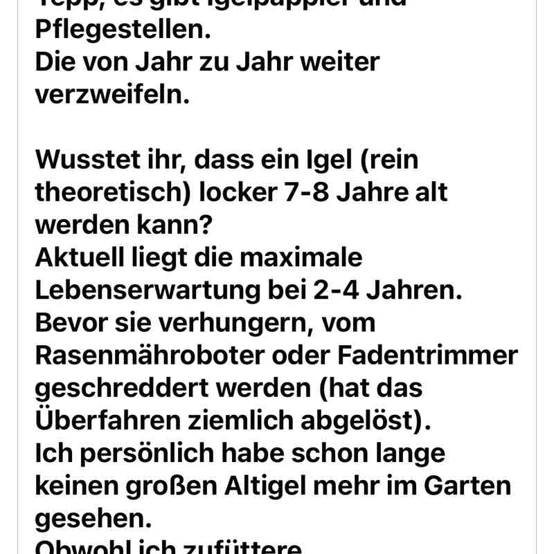 Die Igel 🦔 - Freunde 🦔🥰🦔 Pacer-Mädchen 1965 post image