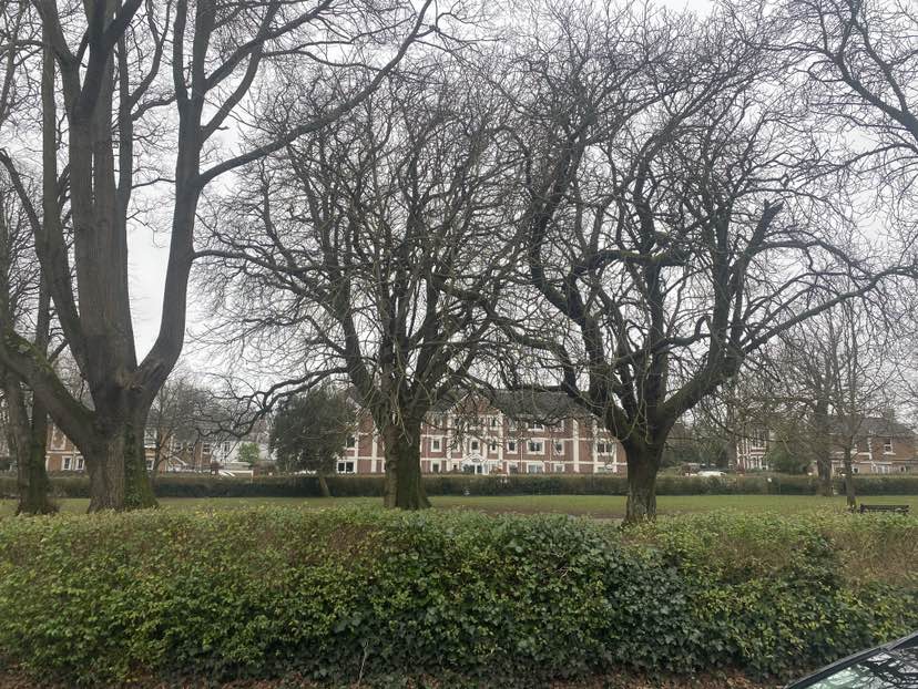 walking near me in Cary Park in winter
