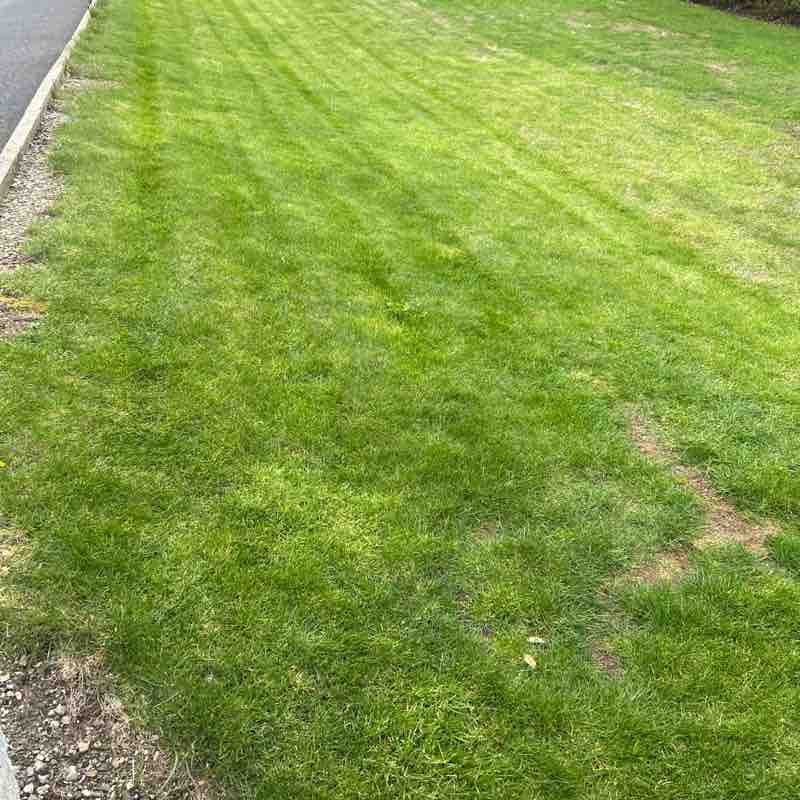 padraigcahill143 post 1