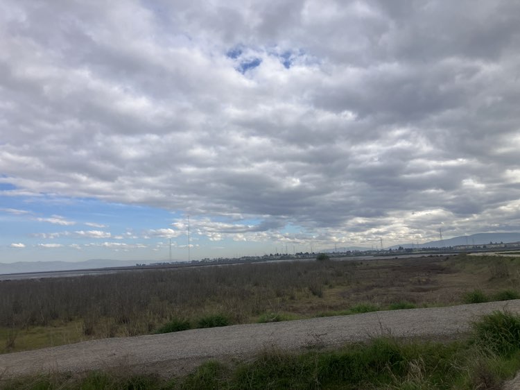 walking near me in Shorebird Park in winter