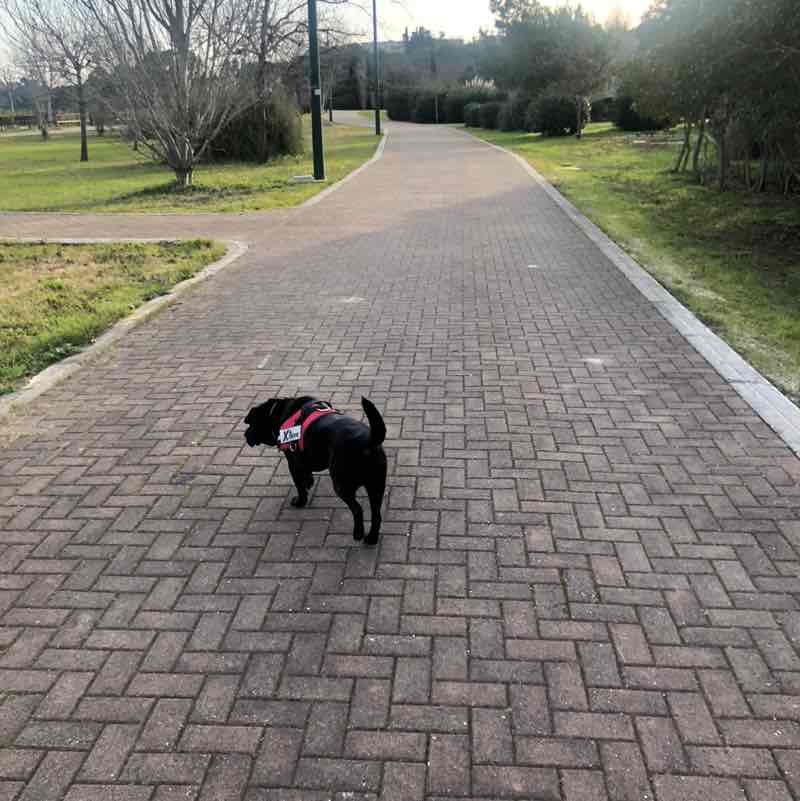 Emilia🐬🐠🌊🔆 post 1