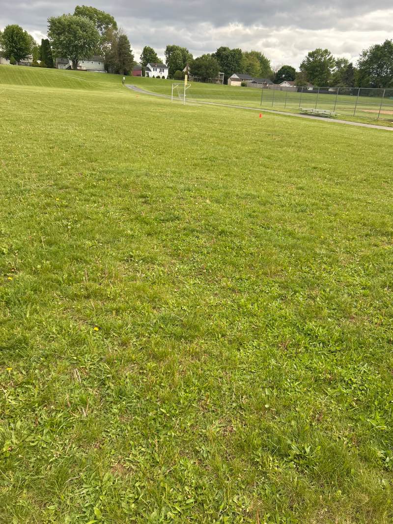 walking near me in Ironwood Community Park in spring