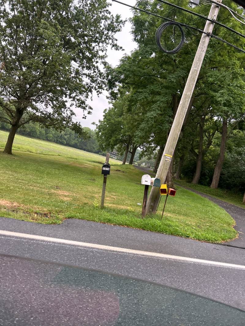 walking near me in Snitz Creek Park in summer