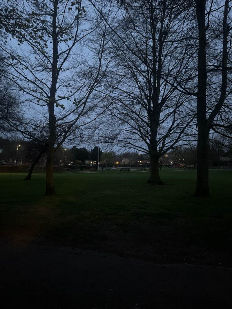 walking near me in Priory Gardens in spring