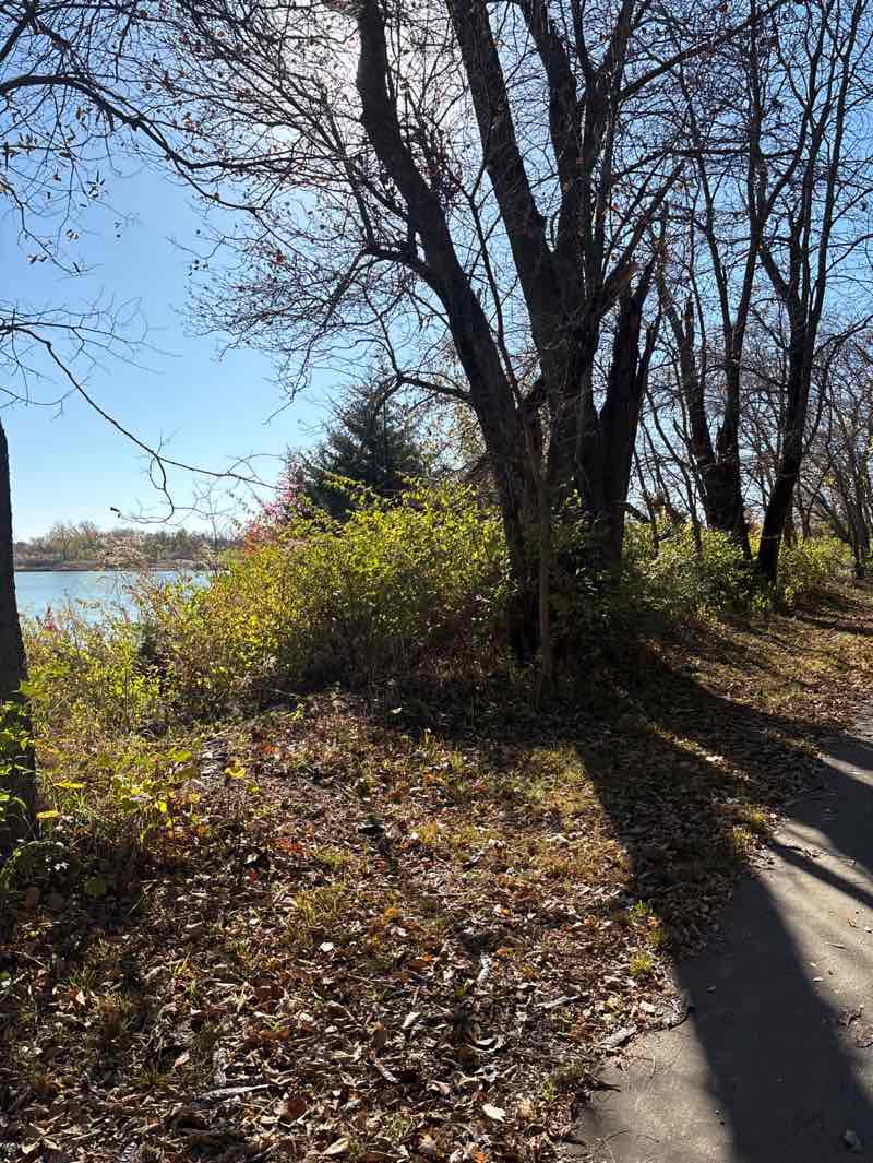 walking near me in Terry Trueblood Recreation Area in autumn