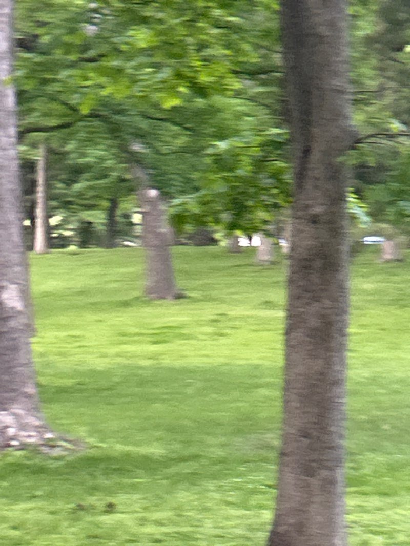 walking near me in City Park in spring