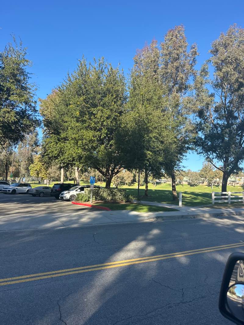 walking near me in Cheseborough Park in winter