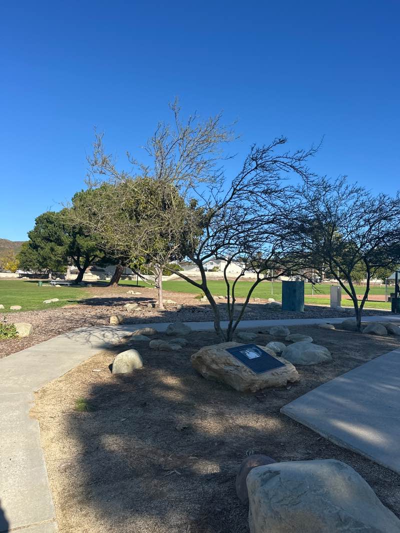 walking near me in Wildflower Playfield in winter