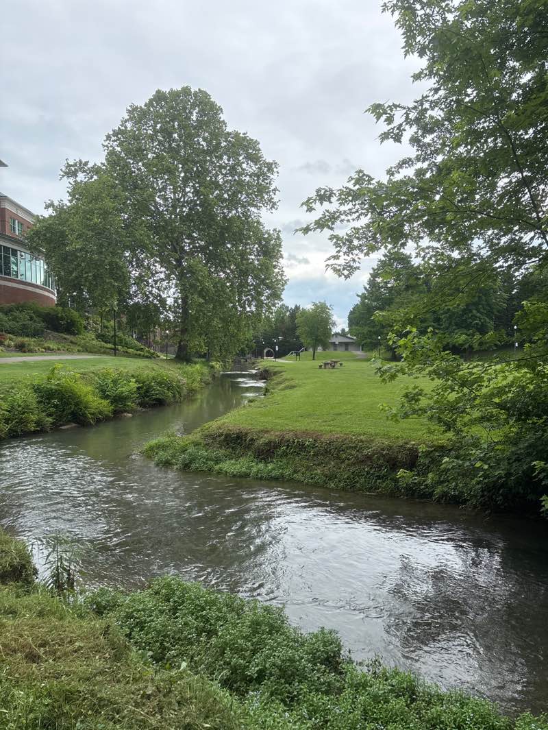 walking near me in Bicentennial Greenbelt Park in spring