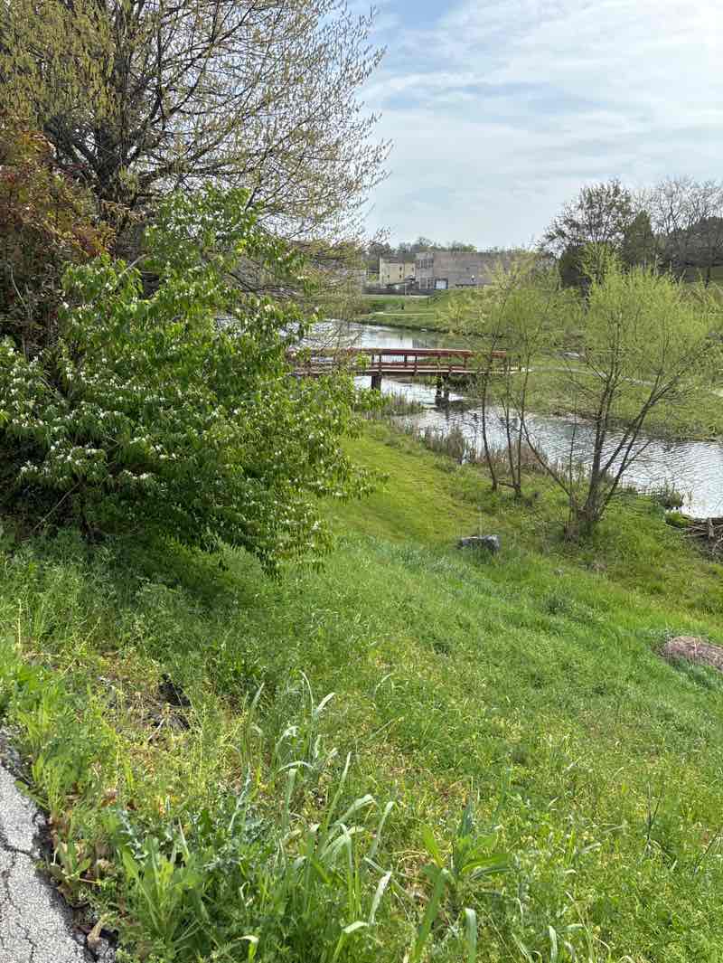 walking near me in Bicentennial Greenbelt Park in spring