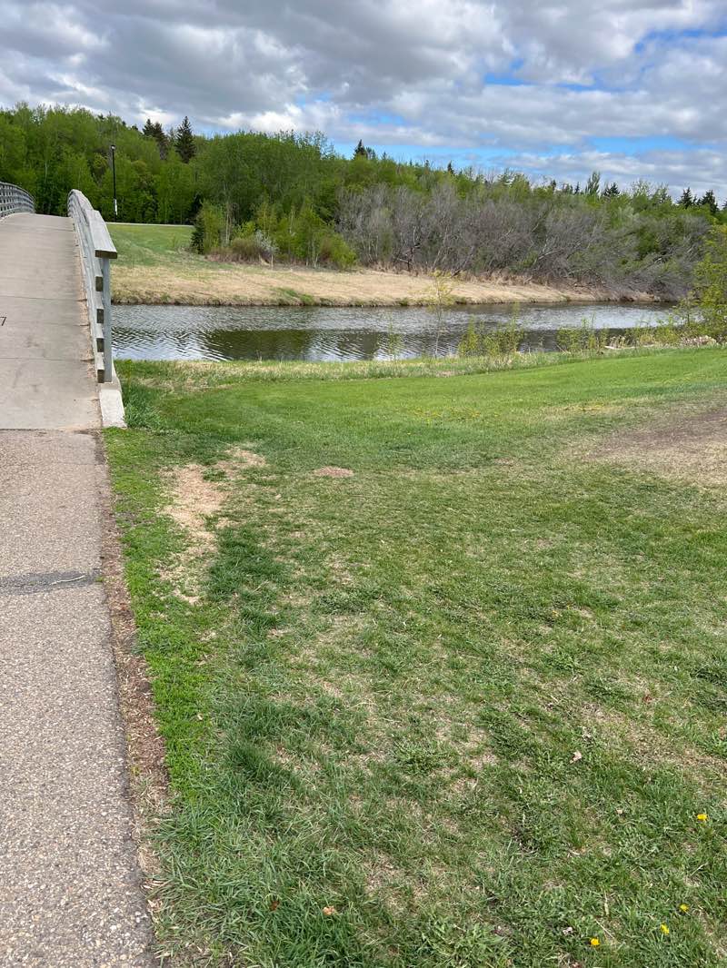 walking near me in Red Willow Park in spring