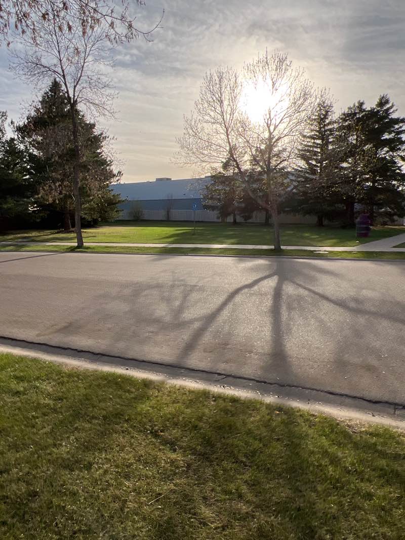 walking near me in Arcand Park in spring