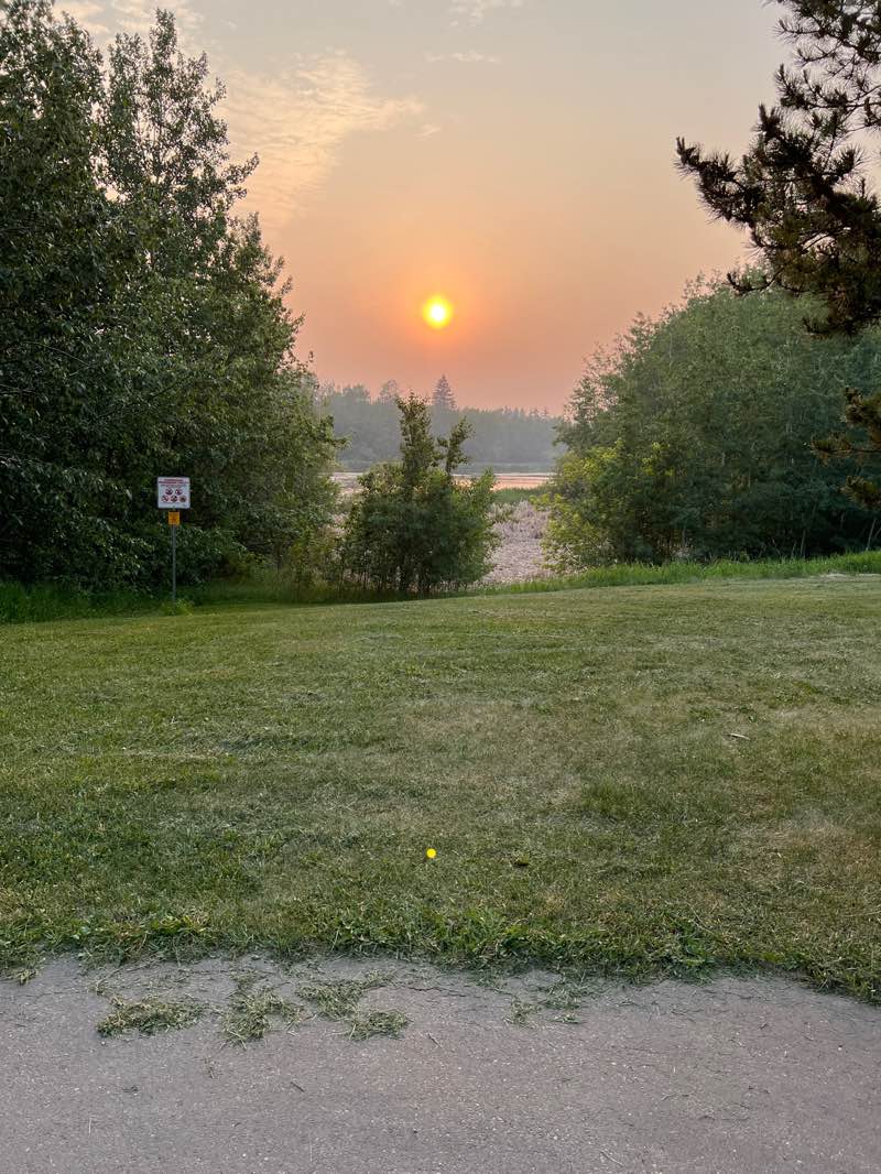 walking near me in Grandin Pond Ecopark in summer