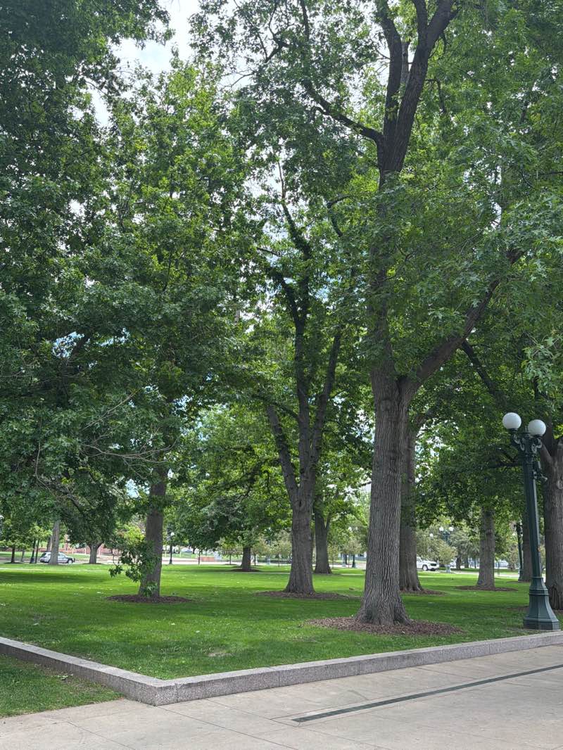 walking near me in Civic Center Park in summer