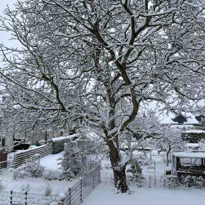 April 5k Race #3 ingrid.1309 post image