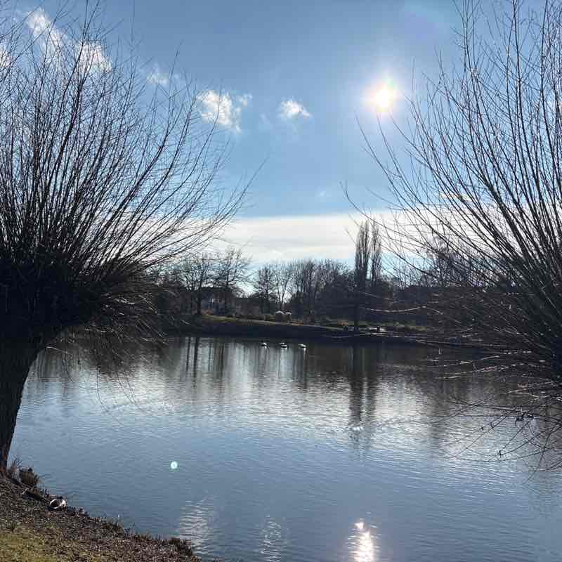 April 5k Race #3 ingrid.1309 post image