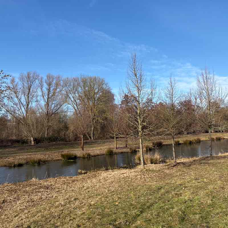 April 5k Race #3 ingrid.1309 post image