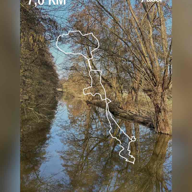 January Distance Challenge ingrid.1309 post image