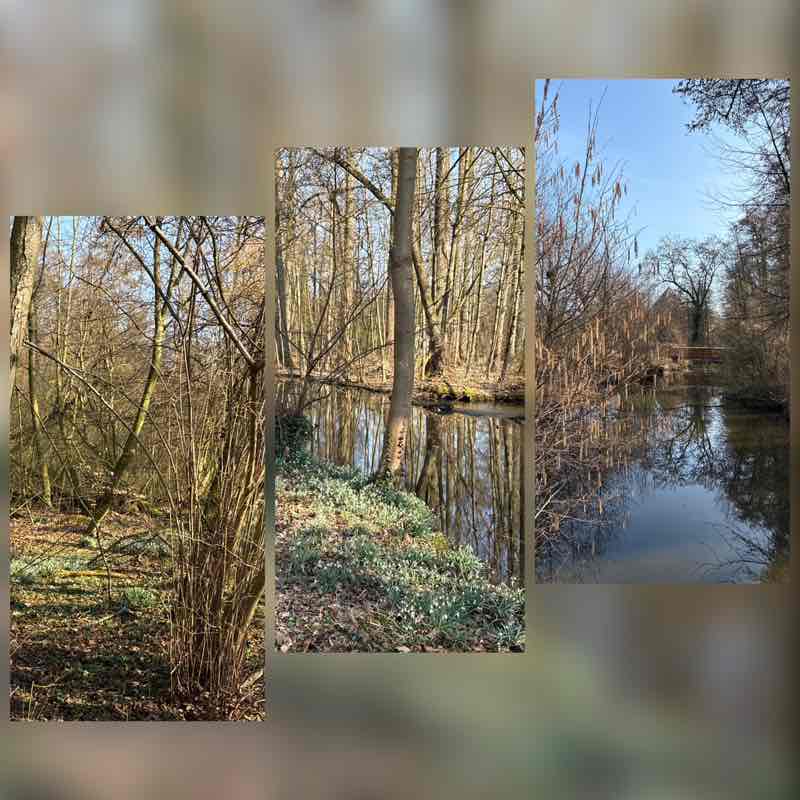 January Distance Challenge ingrid.1309 post image