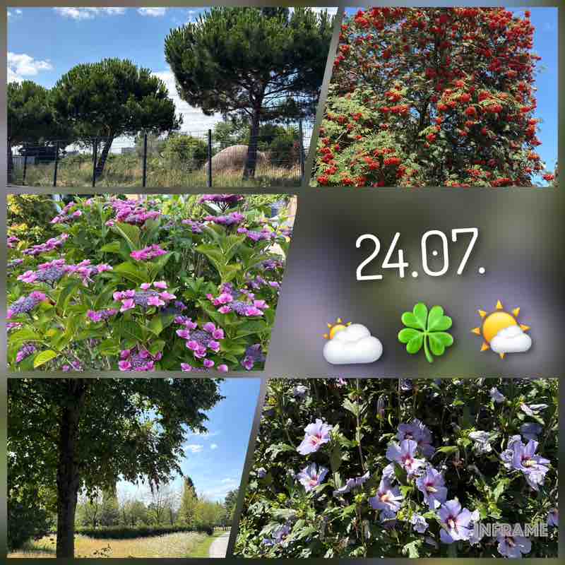 ingrid.1309 post 1