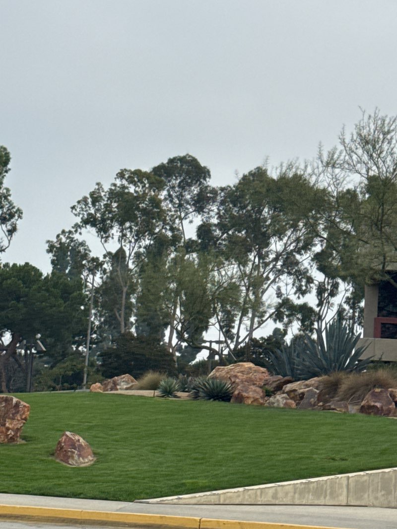 walking near me in Mayfair Park in autumn