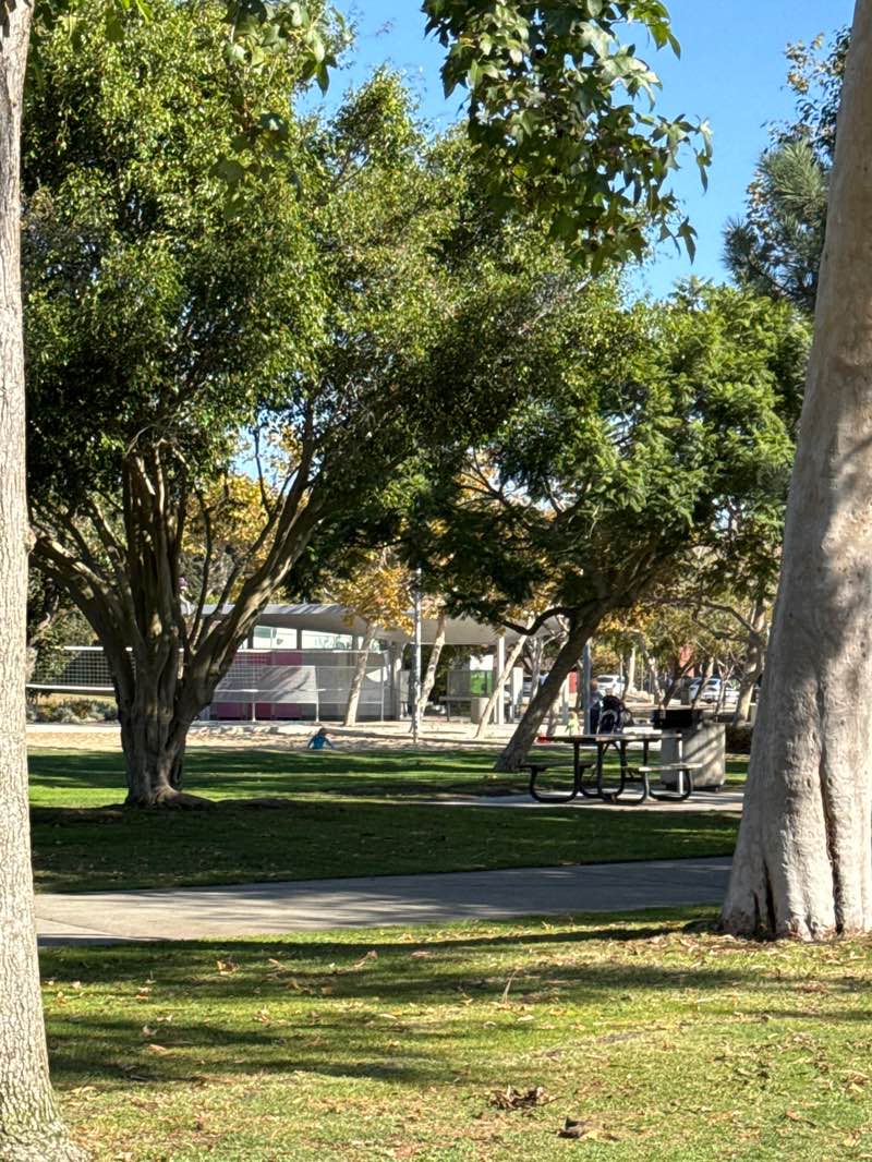 walking near me in Clover Park in autumn