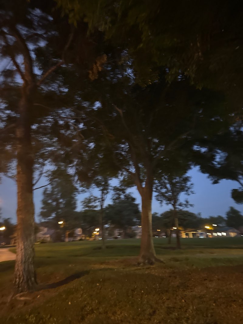 walking near me in Forest Park in autumn