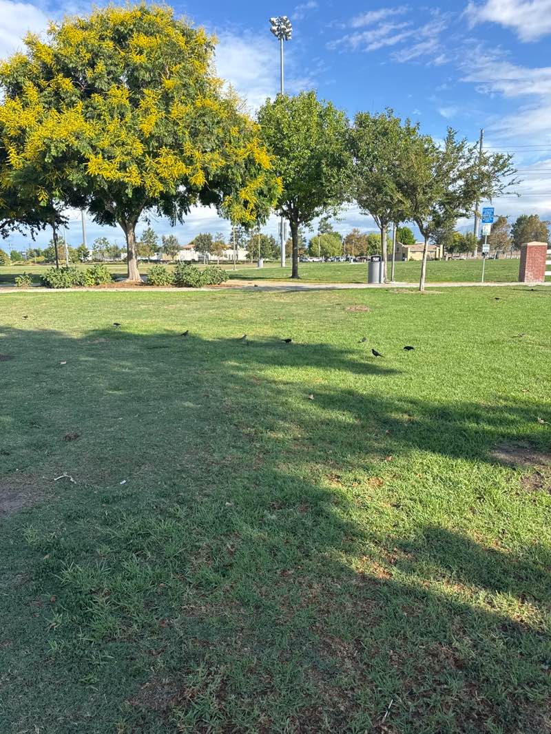 walking near me in Ruben S Ayala Park in autumn