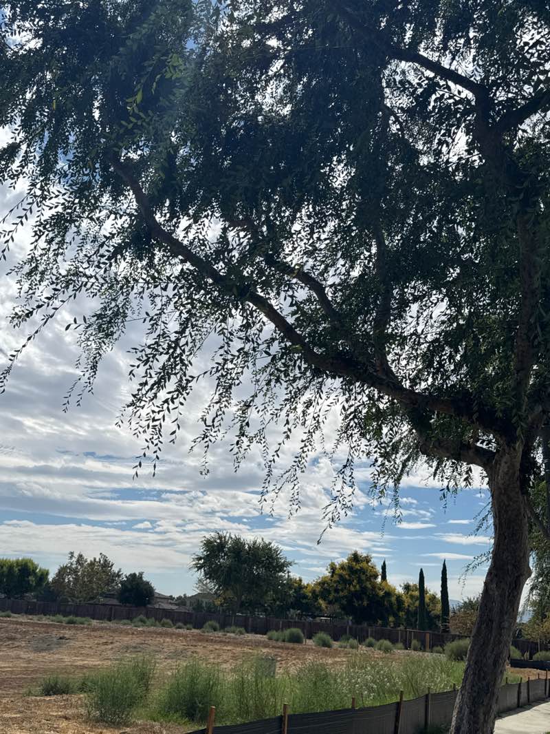 walking near me in Olympic Park in autumn