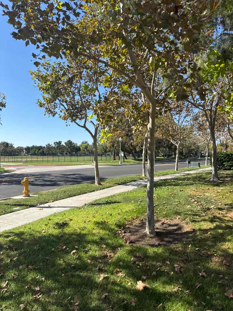 walking near me in Founders Park in autumn
