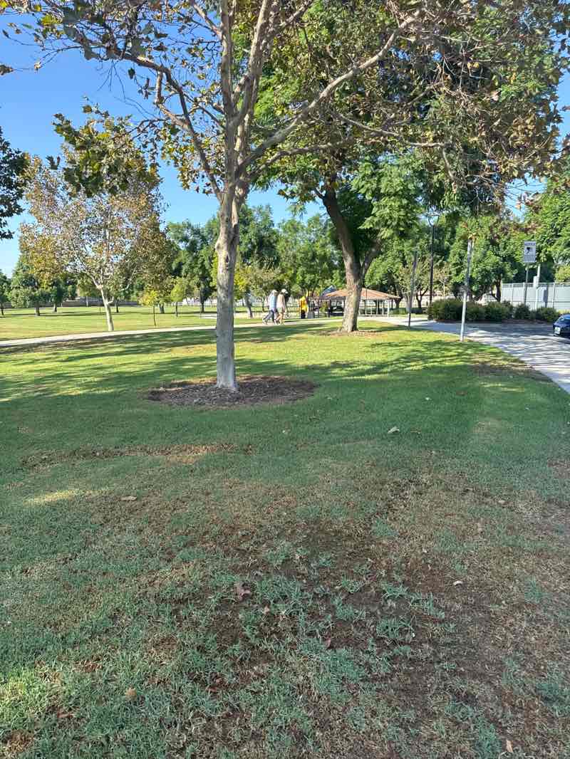walking near me in Cypress Trails Park in autumn