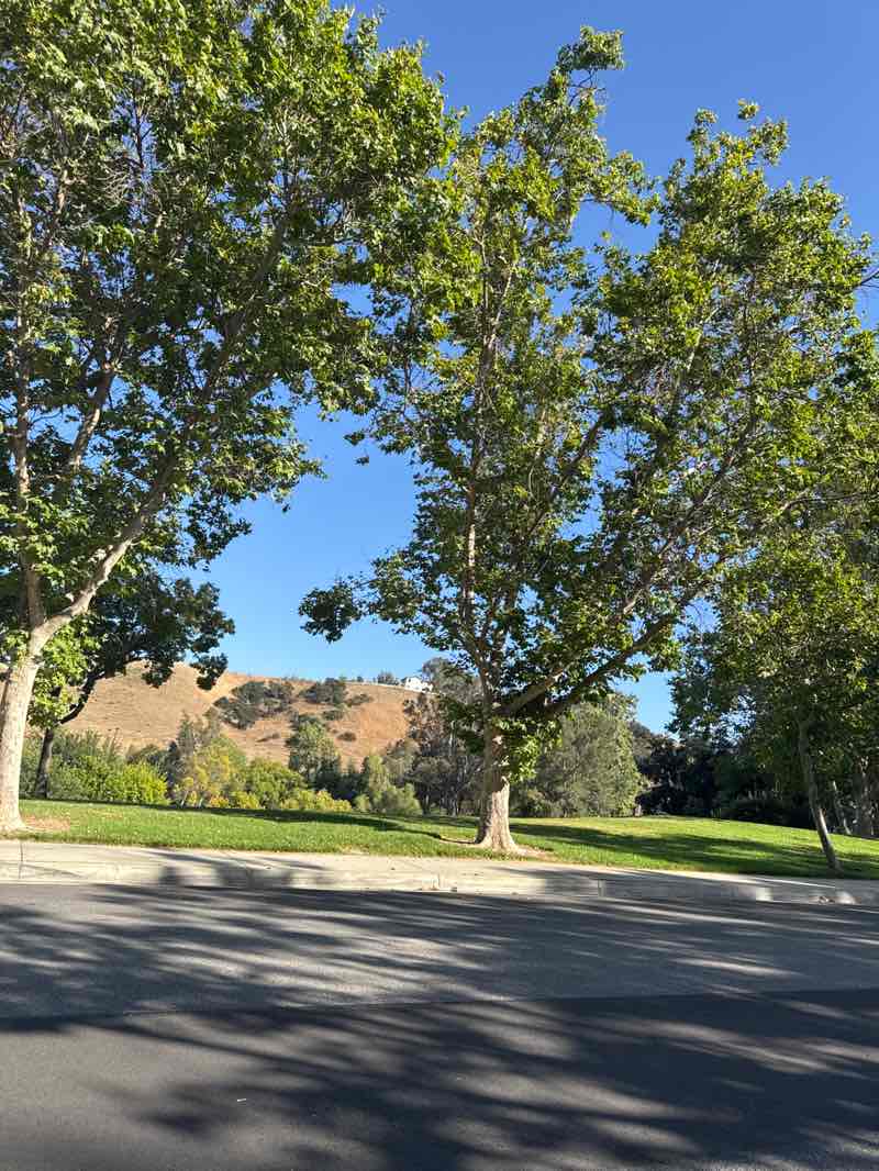 walking near me in Crossroads Park in summer