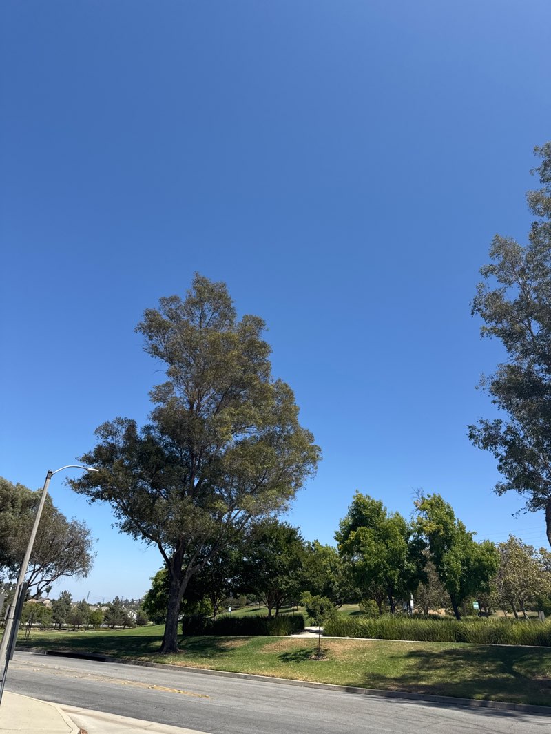 walking near me in Veterans Park in summer