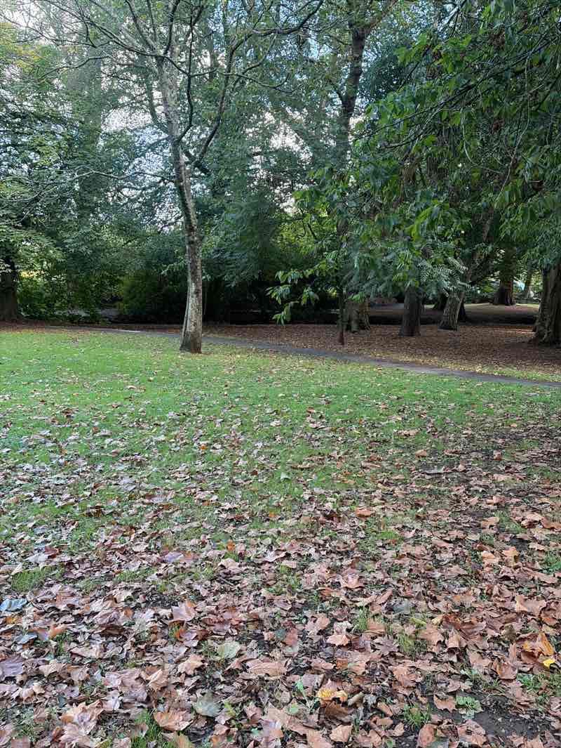 walking near me in Roath Pleasure Gardens in autumn