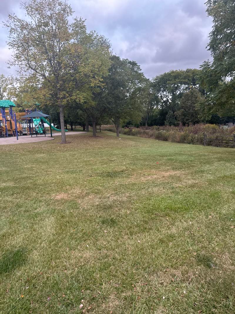 walking near me in Sunnyside Park in autumn