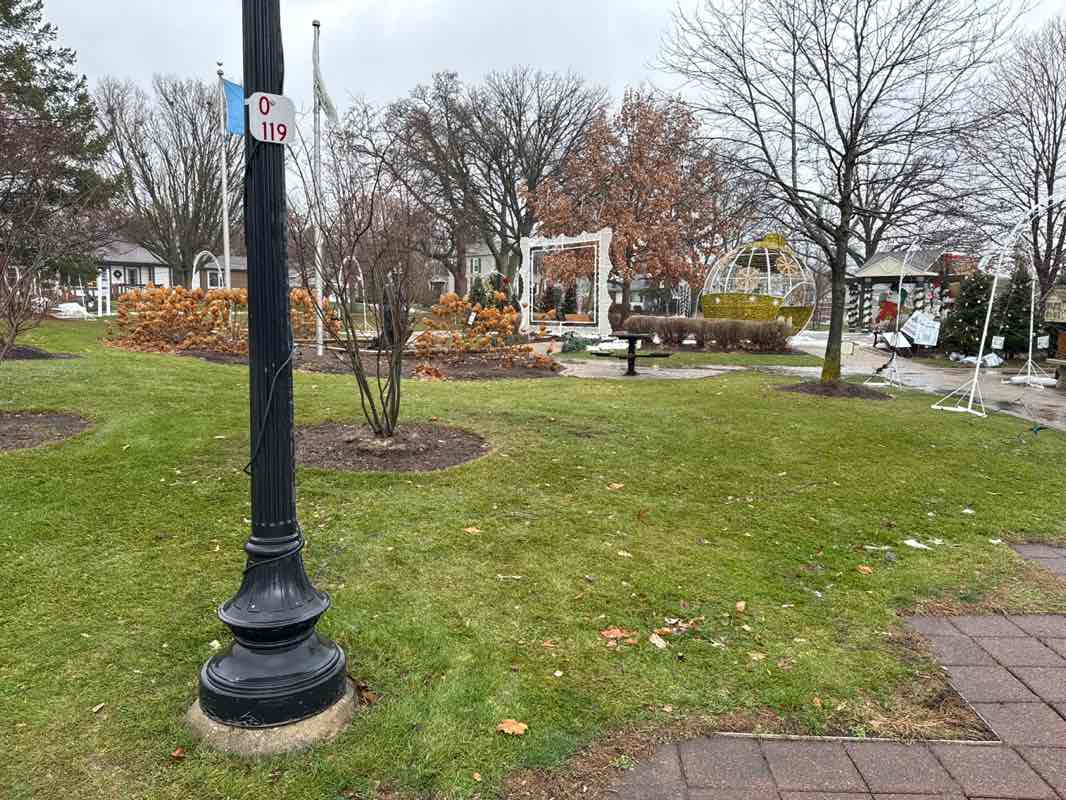 walking near me in Bloomingdale Old Town Park in winter