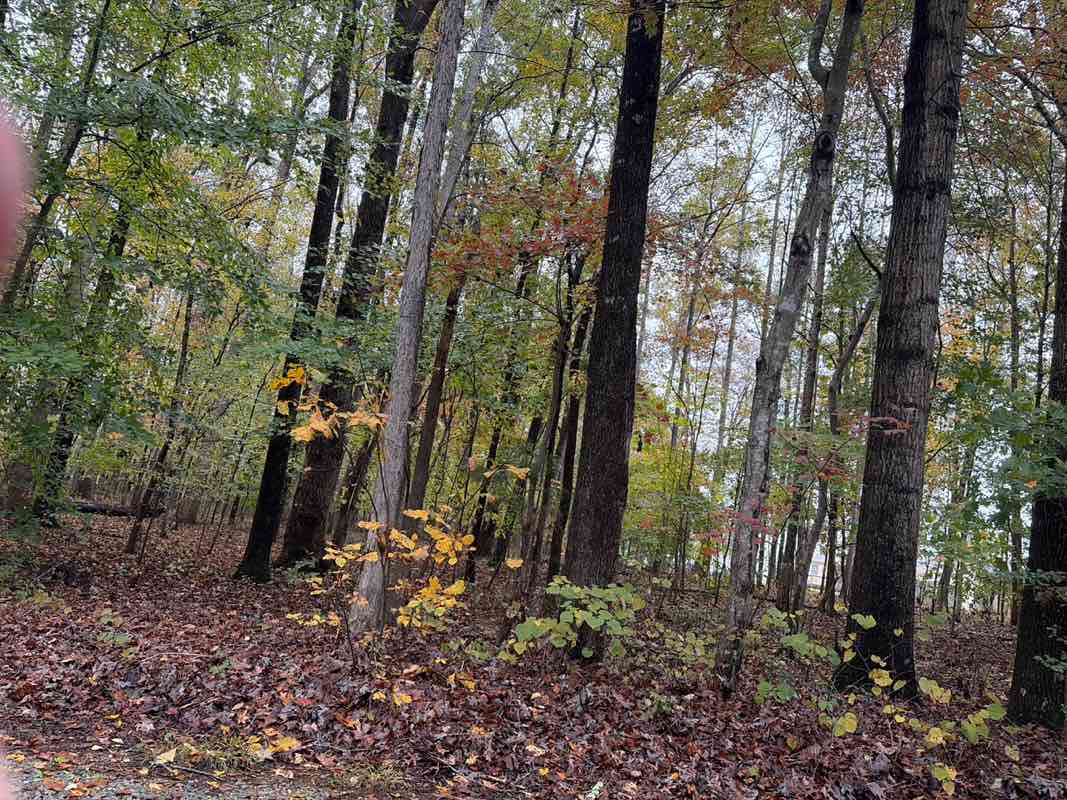 walking near me in Cedar Grove Park in autumn