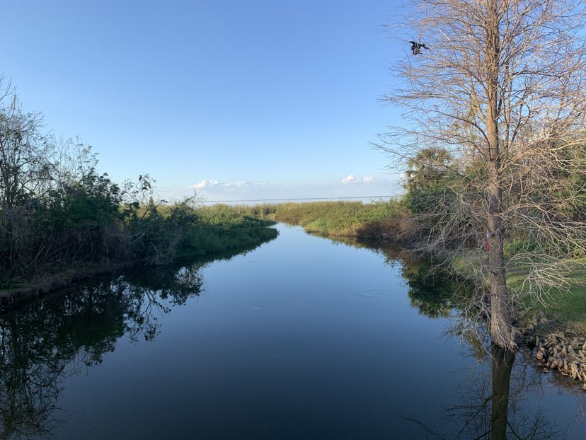 walking near me in Dr. Bradford Memorial Park in winter