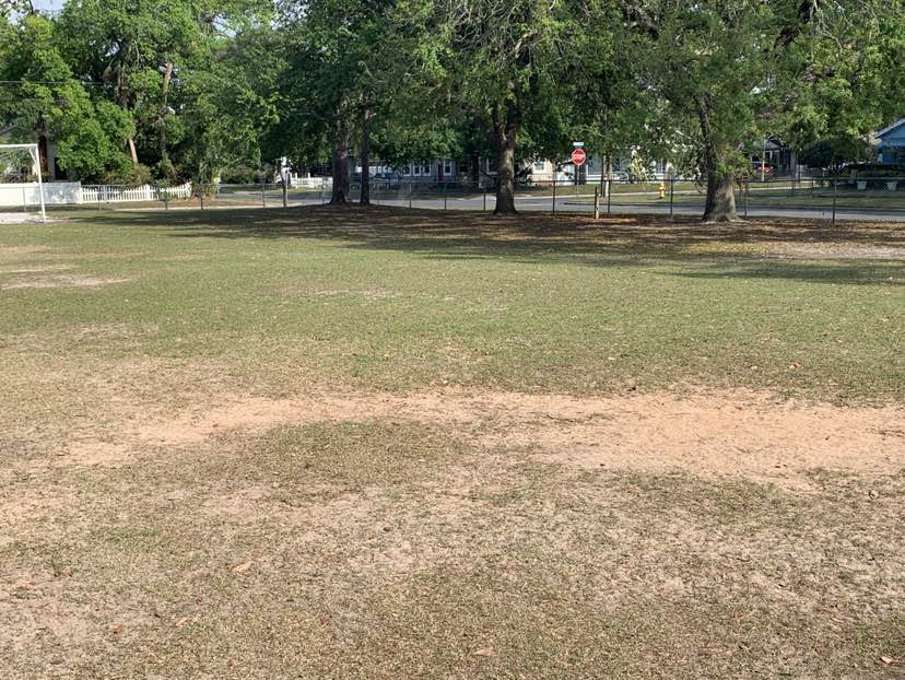 walking near me in Maple Street Park in spring