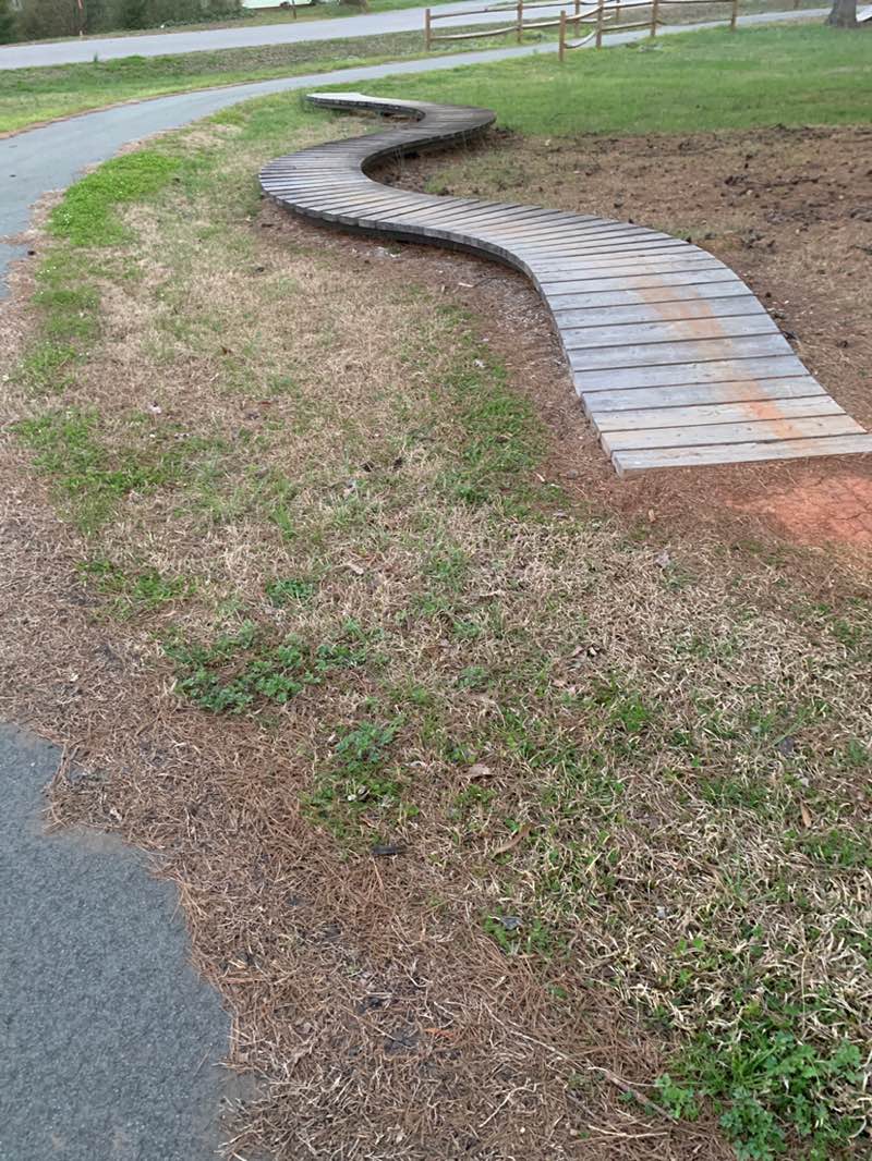 walking near me in Morgan Place Park in spring