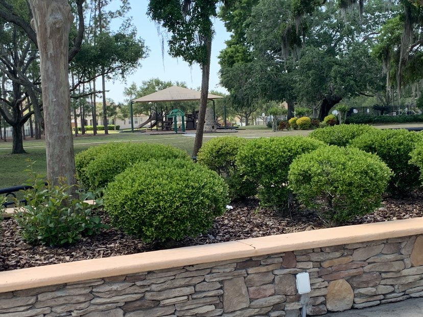 walking near me in Black Lake Park Neighborhhod Park in spring