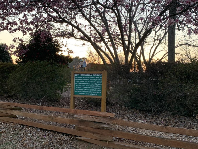 walking near me in Beth Schmidt Park in spring