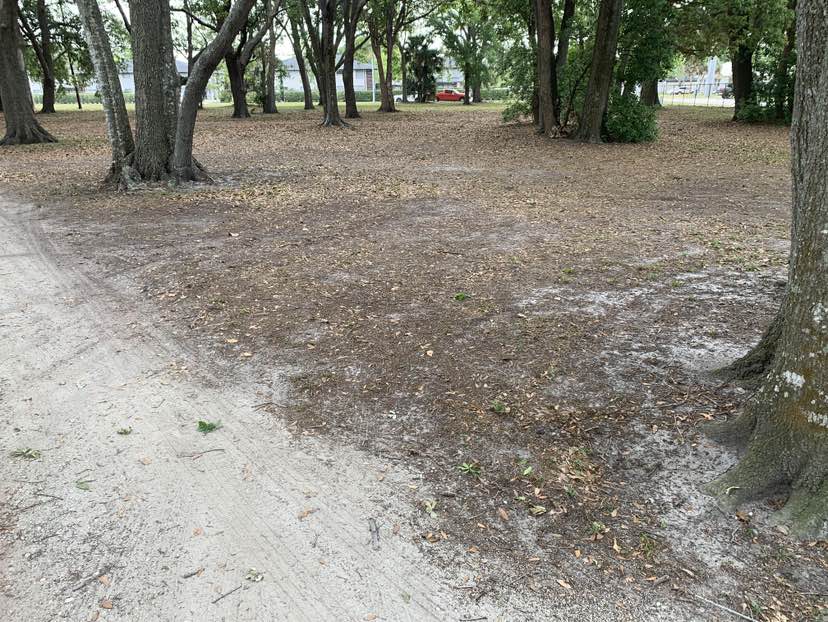 walking near me in Veterans Memorial Park in spring