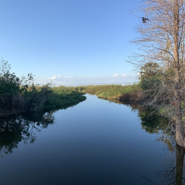 War Eagle fans Richard— post image