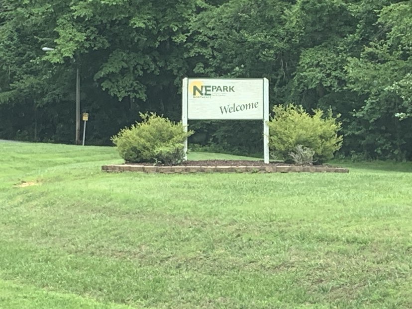 walking near me in Northeast Park in spring