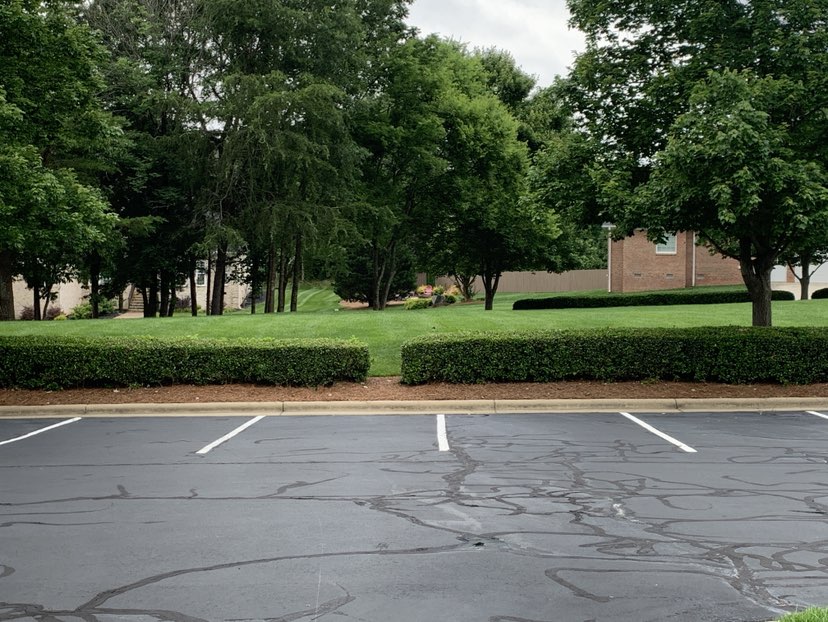 walking near me in Whisper Community Park in spring